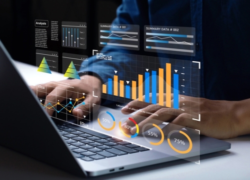 Analyst uses laptop to monitor fleet data